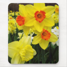 Mélange de jonquille simple tapis de souris