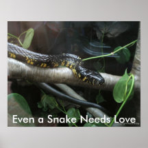 Même un serpent a besoin d'amour posters