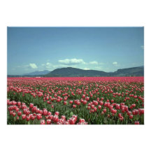 Mer de tulipe invitations personnalisées