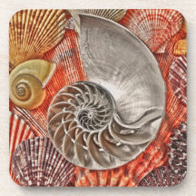 Mer Shell de Nautilus Dessous-de-verre