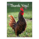 Merci, coq cartes de vœux