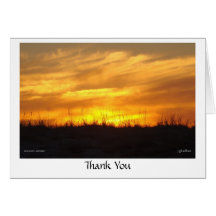 Merci - plage de scusset carte de vœux