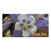 Merci sauvage d'iris cartes de vœux avec photo