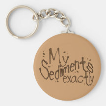 Mes sédiments exactement Keychain Porte-clefs