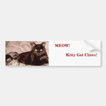 Miauw! Kat Geworden Klauwen!                       Bumpersticker