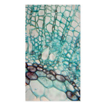 micrographie de cellules de plante modèle de carte de visite