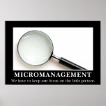 Micromanagement is een succesvolle strategie (l) plaat