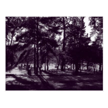 Middag in het Park (Paars Gestemd BW) Wens Kaarten