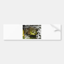 Mijn Prins Bumpersticker