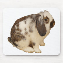 mini lapin de Lop Tapis De Souris
