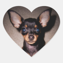mini pinscher. hartvormige stickers