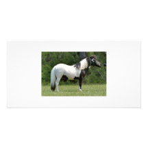 miniatuur poney fotokaart sjabloon
