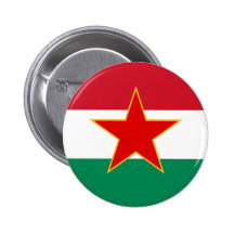 Minorité hongroise yougoslave de Sfr, drapeau ethn Pin's