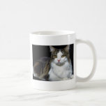 Minou Tasse À Café