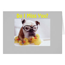 MISSER U MEER DAN MIJN DUCKIE! KAARTEN