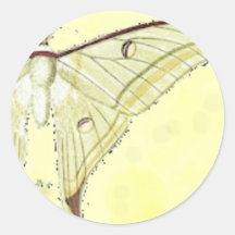 mite de Luna Autocollants