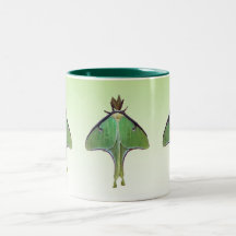 Mite de Luna Mug À Café