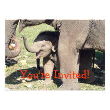 Modèle d'invitations d'éléphant de bébé