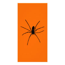 Modèle noir d'araignée photocartes