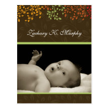 Modèle personnalisable de faire-part de naissance  carte postale
