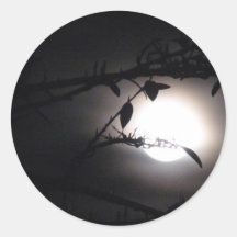 © Modieuze de volle maan supermoon bladeren van P  Ronde Sticker