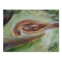 Moineau au conducteur cartes postales