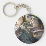 Moineaux Porte-clefs