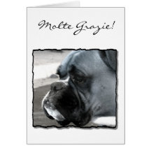 Molte Grazie ! Carte de voeux de boxeur