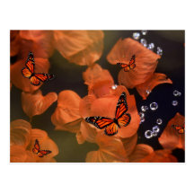 Moments de monarque carte postale