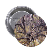 Mon âme pin's