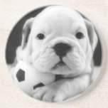 "Mon ballon de football !" Chiot anglais de bouled Dessous De Verres