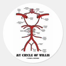 Mon cercle de willis (humour anatomique d'artères) autocollants