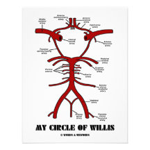Mon cercle de willis (humour anatomique d'artères) bristols