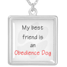 Mon meilleur ami est un chien d'obéissance colliers personnalisés