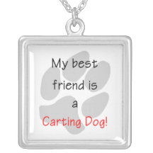 Mon meilleur ami est un chien transportant en char collier