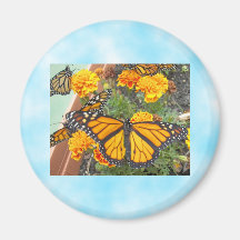 Mon Papillon-aimant de monarque