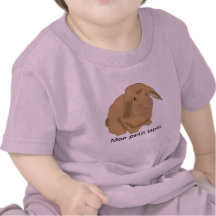 Mon petit lapin t-shirt