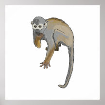 Monkey qui mange posters
