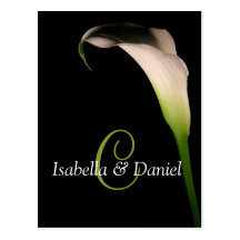 Monogrammes du zantedeschia C de cartes postales d
