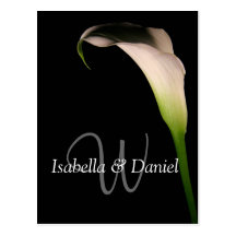 Monogrammes du zantedeschia W de cartes postales d