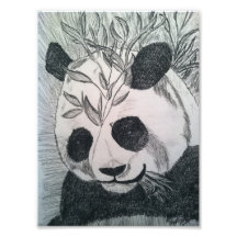 Monsieur Panda Photos D’art