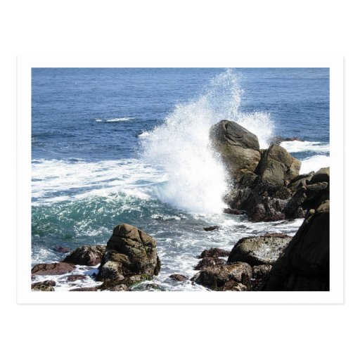 Monterey Cartes Postales