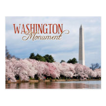 Monument de Washington avec des fleurs de cerisier Cartes Postales