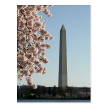 Monument de Washington Carte Postale