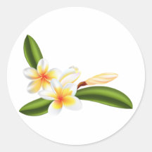 Mooie frangipani of plumeriabloemen ronde stickers