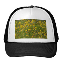 Mooie Gele Wildflowers Pet Met Netje