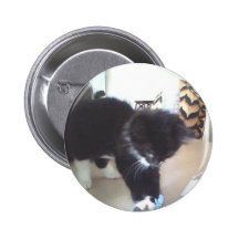 Mooie Kat "OREO " Speld Button