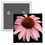 Mooie Roze Coneflower Speldbuttons