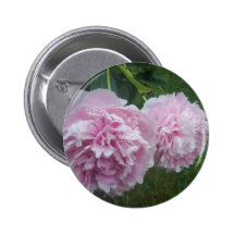 Mooie Roze Pioenen Buttons