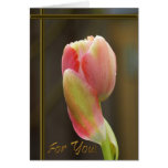 Mooie, zeldzame Tulp met de Gouden kaart van de Te